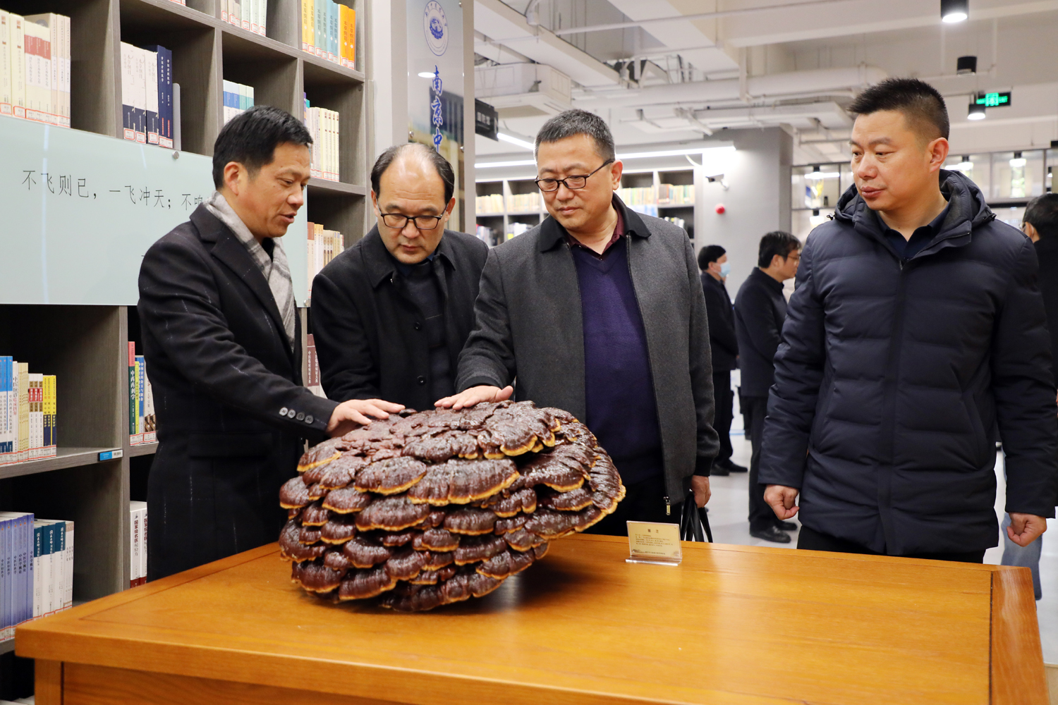 c29272c420f64661b0457b3e6716605c.jpg c29272c420f64661b0457b3e6716605c.jpg