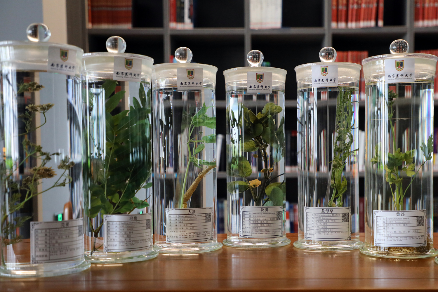 2d7879ef249447579c7bcee9a250fe25.jpg 2d7879ef249447579c7bcee9a250fe25.jpg