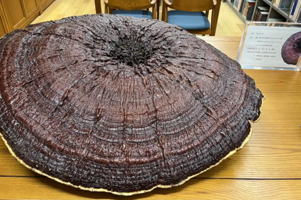 528298687782491787968cba69afe563.png 528298687782491787968cba69afe563.png