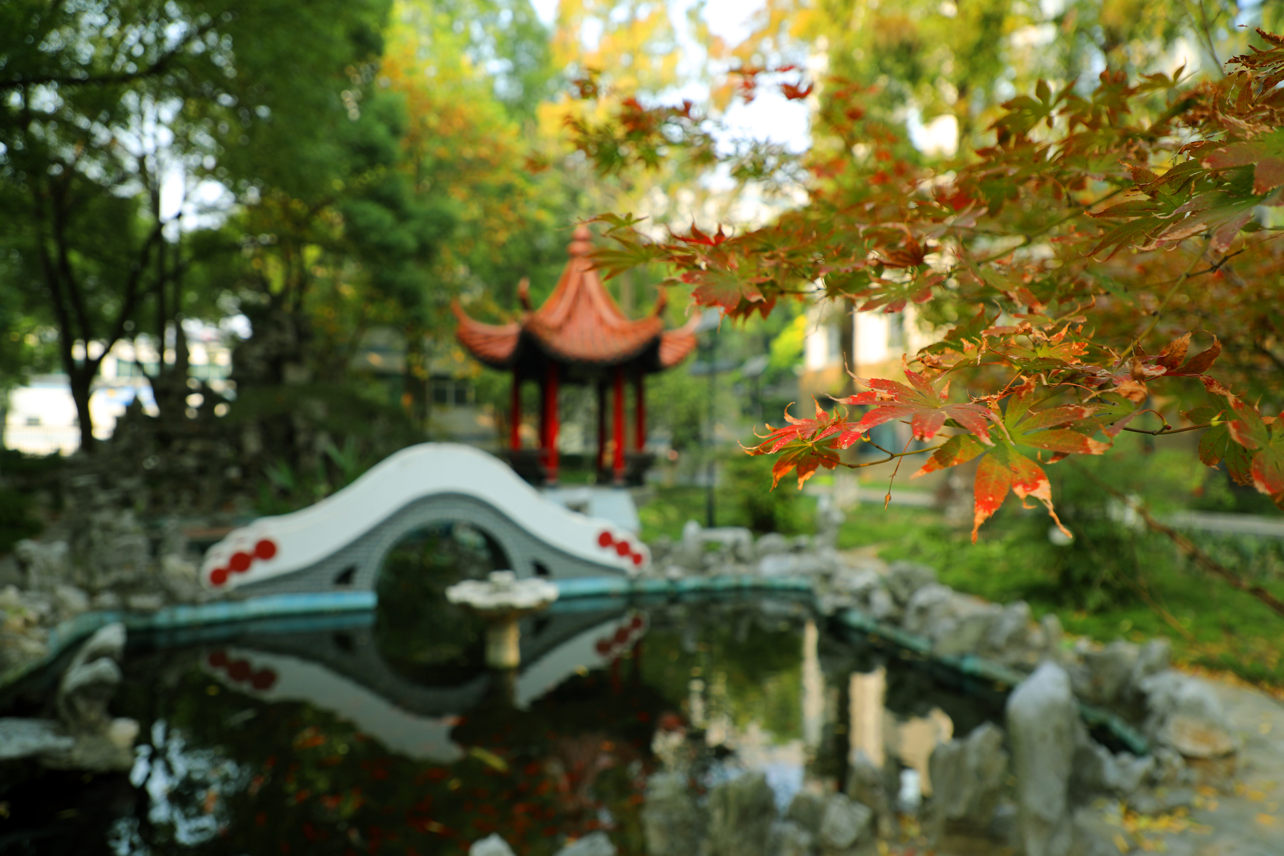 b318361f098c48b8808244ce556e36fe.jpg b318361f098c48b8808244ce556e36fe.jpg